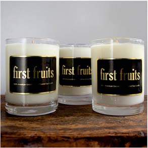 Light The Way Home Signature Soy Candle Trio - Fall and Winter Scents